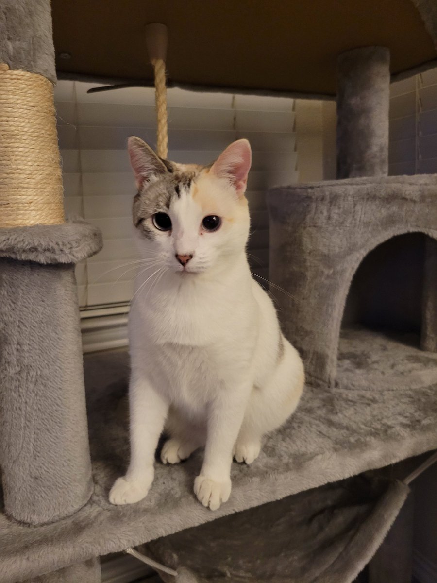 The Invisible Davis 🍉🍉🍉 tweet media