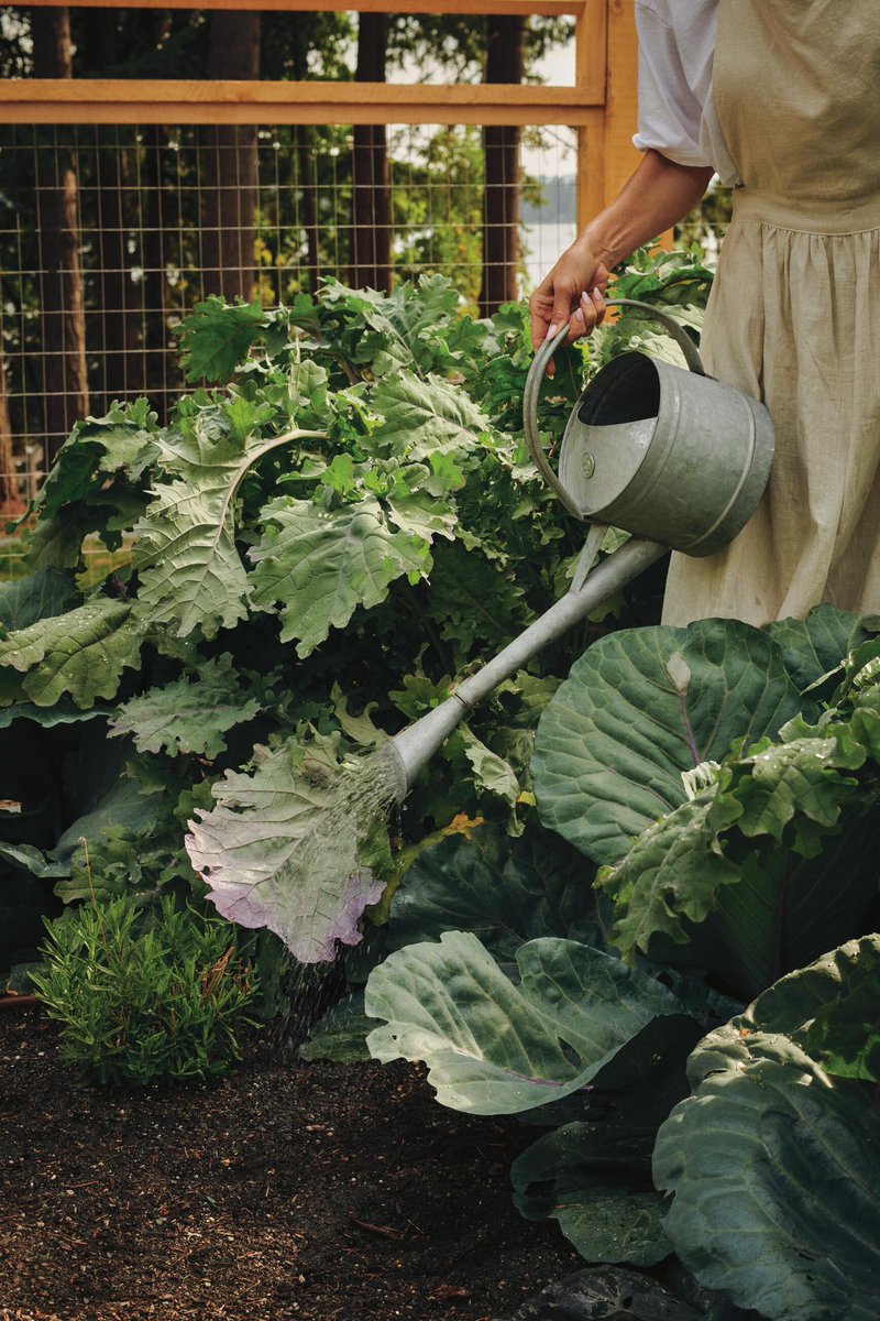 My cookbook ‘I Love You’  is finally out and available everywhere… this is a dream come true and such a personal experience to go through and create for (and with) my family and now thoughtfully passed on to you all… Plant-based eating can be a challenge sometimes, I get it,