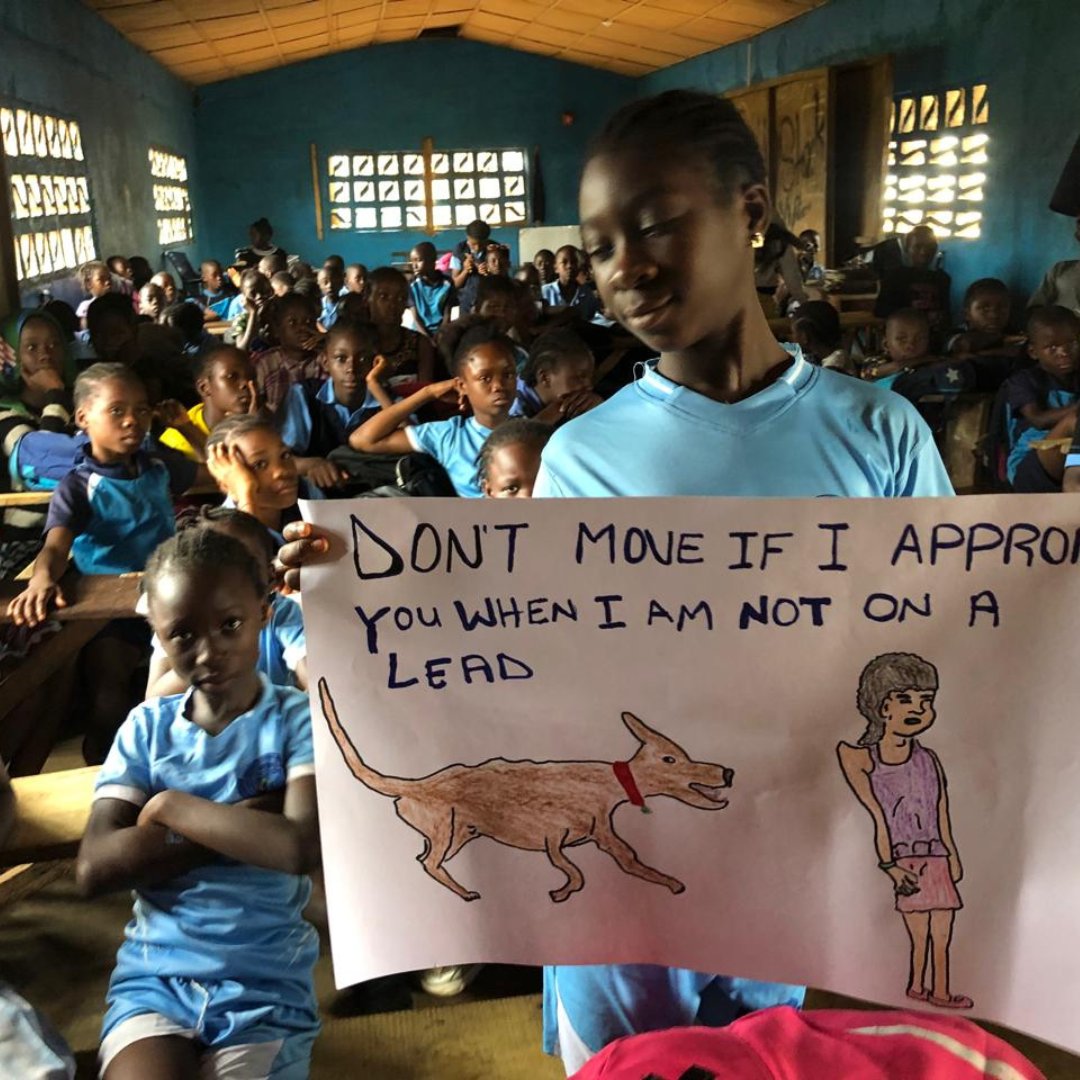 GlobalStrays's tweet image. For World Rabies Day, our partner @liberiaanimalwelfare gathered 220 elementary school students to teach about the dangers of rabies and dog bites. How inspiring it is to be part of building a safer, healthier future for both people and animals! 💙

#globalstrays #worldrabiesday