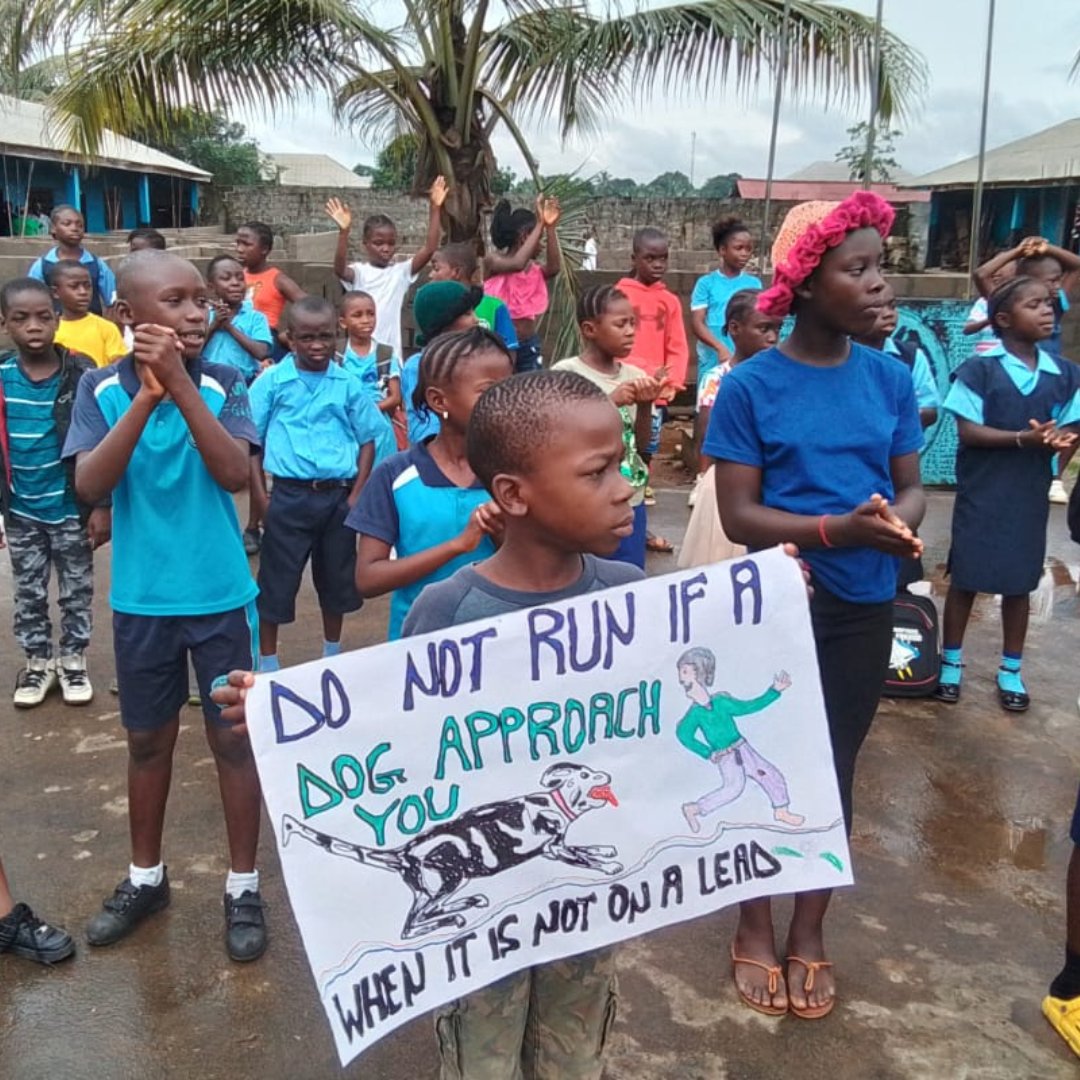 GlobalStrays's tweet image. For World Rabies Day, our partner @liberiaanimalwelfare gathered 220 elementary school students to teach about the dangers of rabies and dog bites. How inspiring it is to be part of building a safer, healthier future for both people and animals! 💙

#globalstrays #worldrabiesday