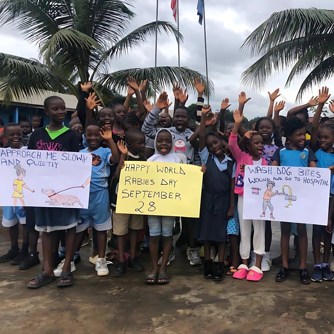 GlobalStrays's tweet image. For World Rabies Day, our partner @liberiaanimalwelfare gathered 220 elementary school students to teach about the dangers of rabies and dog bites. How inspiring it is to be part of building a safer, healthier future for both people and animals! 💙

#globalstrays #worldrabiesday