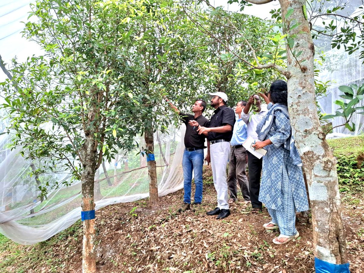 DrNKBhatiaCSB's tweet photo. Today on 15/10/24 visited CSB:MESSO-Muga P3 Unit, Adokgiri, North Garo Hills &amp; interected with the team to improve the seed production efficiency of our unit located in one of the remotest parts of vibrant Meghalaya. @csbmot @TexMinIndia https://t.co/wjV45bulus