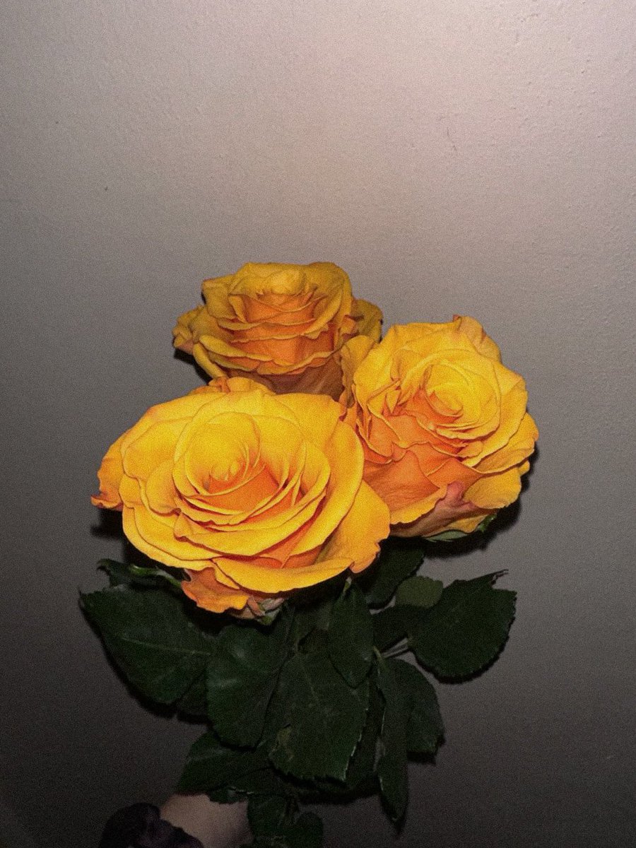 Skořicová (Ka)rolka 🌻 tweet media