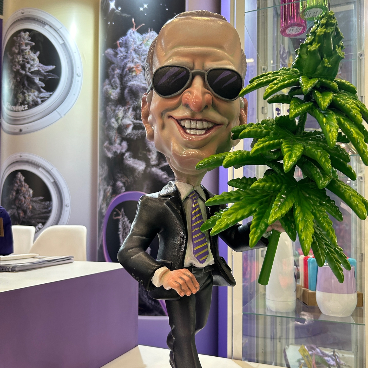 He's been with us for a while now, and we call him Joe! 😂
#sleepyjoe #anesiaseeds #feminizedeeds #weed