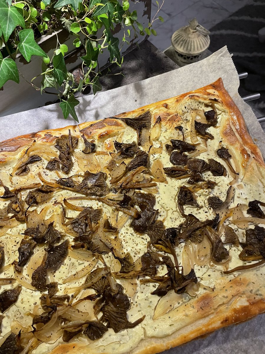 Suppilovahveropiirakkaa 🧡

Itse poimin, tein ja maistoin 🔥

#ruokatwiitti vai #ruokax
#suppis
#suppilovahvero