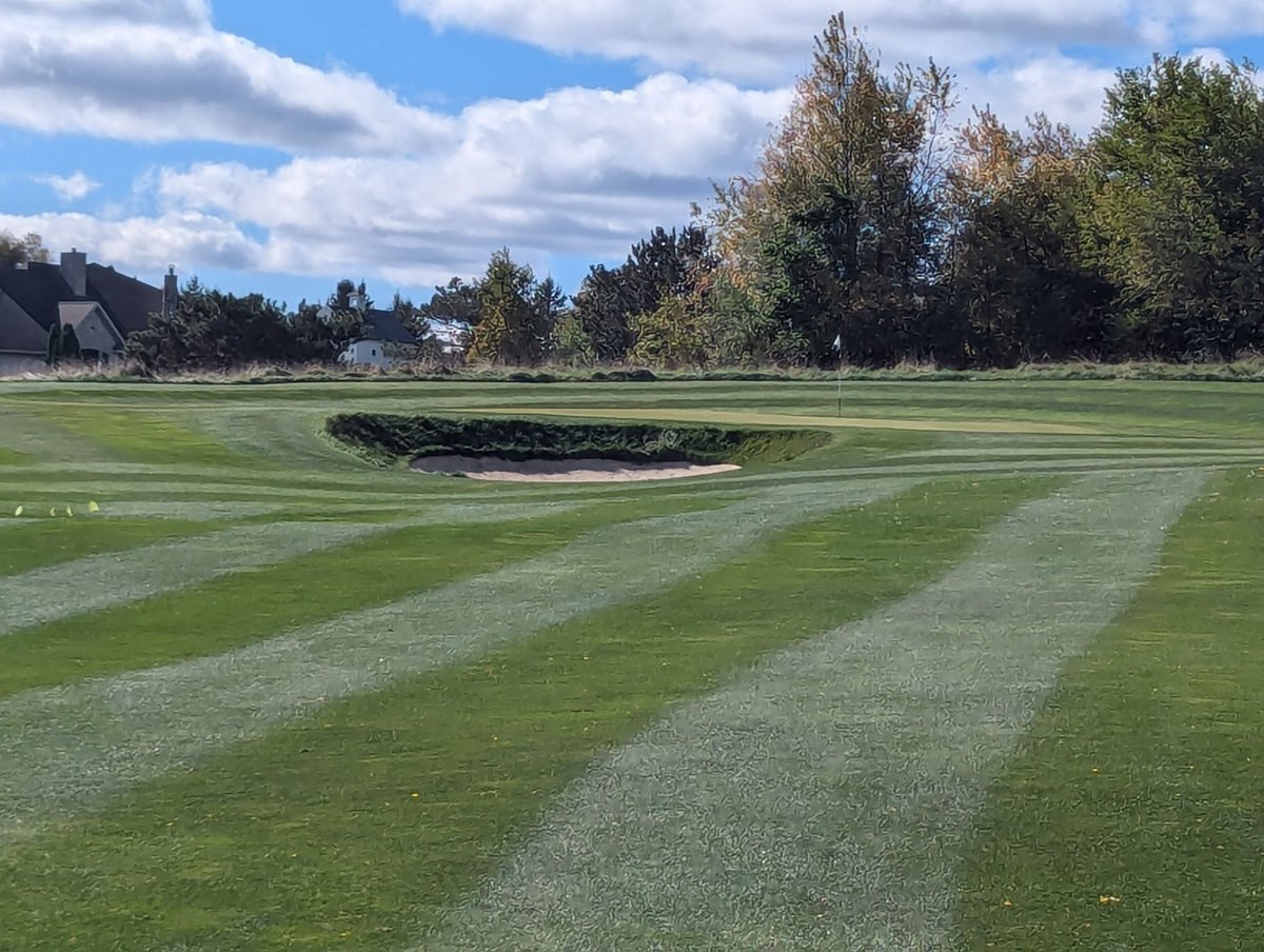 365 bluegrass fall color is really good