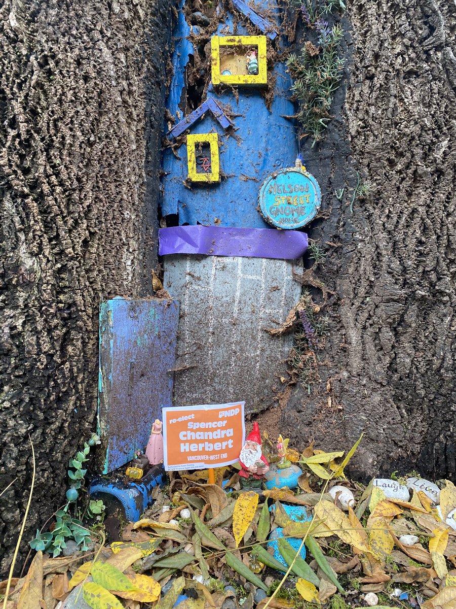 Spencer Chandra Herbert tweet media