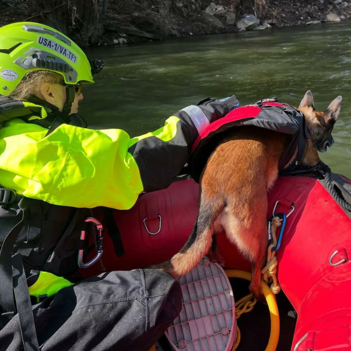 VATF1's tweet image. In conjunction with @MassTaskforce1, VA-TF1 members continued their search and rescue efforts by performing water operations in the Asheville, NC area affected by #HurricaneHelene.
@fema @ffxfirerescue
