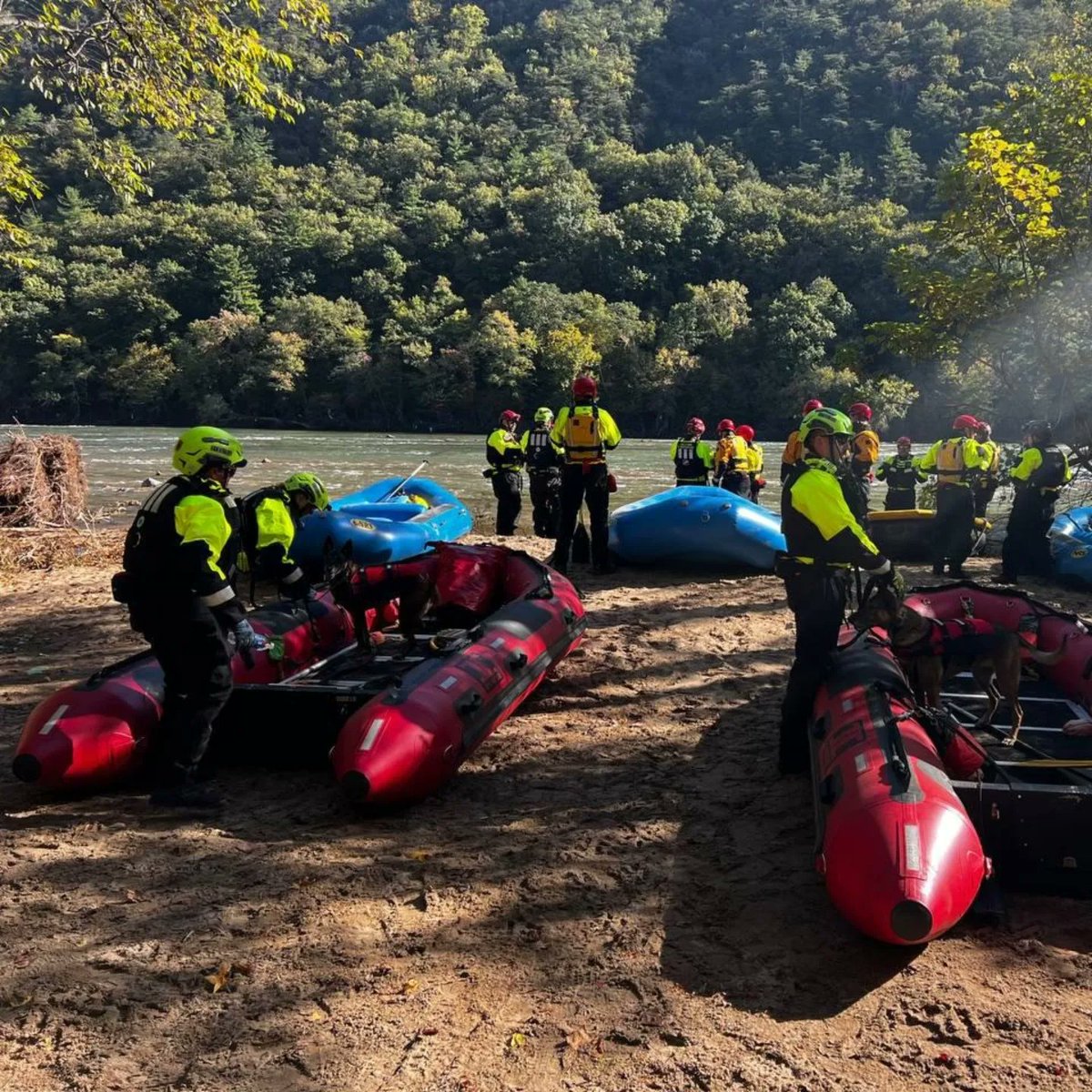 VATF1's tweet image. In conjunction with @MassTaskforce1, VA-TF1 members continued their search and rescue efforts by performing water operations in the Asheville, NC area affected by #HurricaneHelene.
@fema @ffxfirerescue