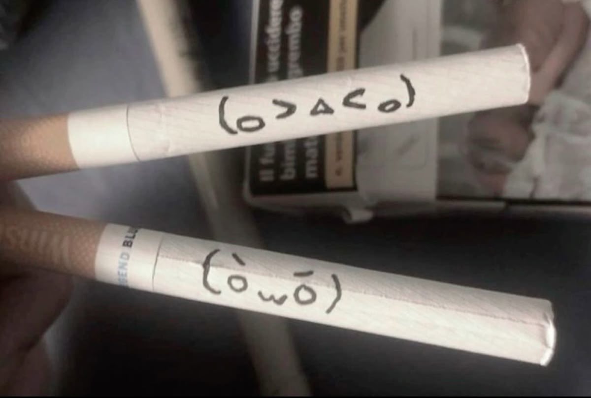 ‏۟ (@3vyvm) on Twitter photo 