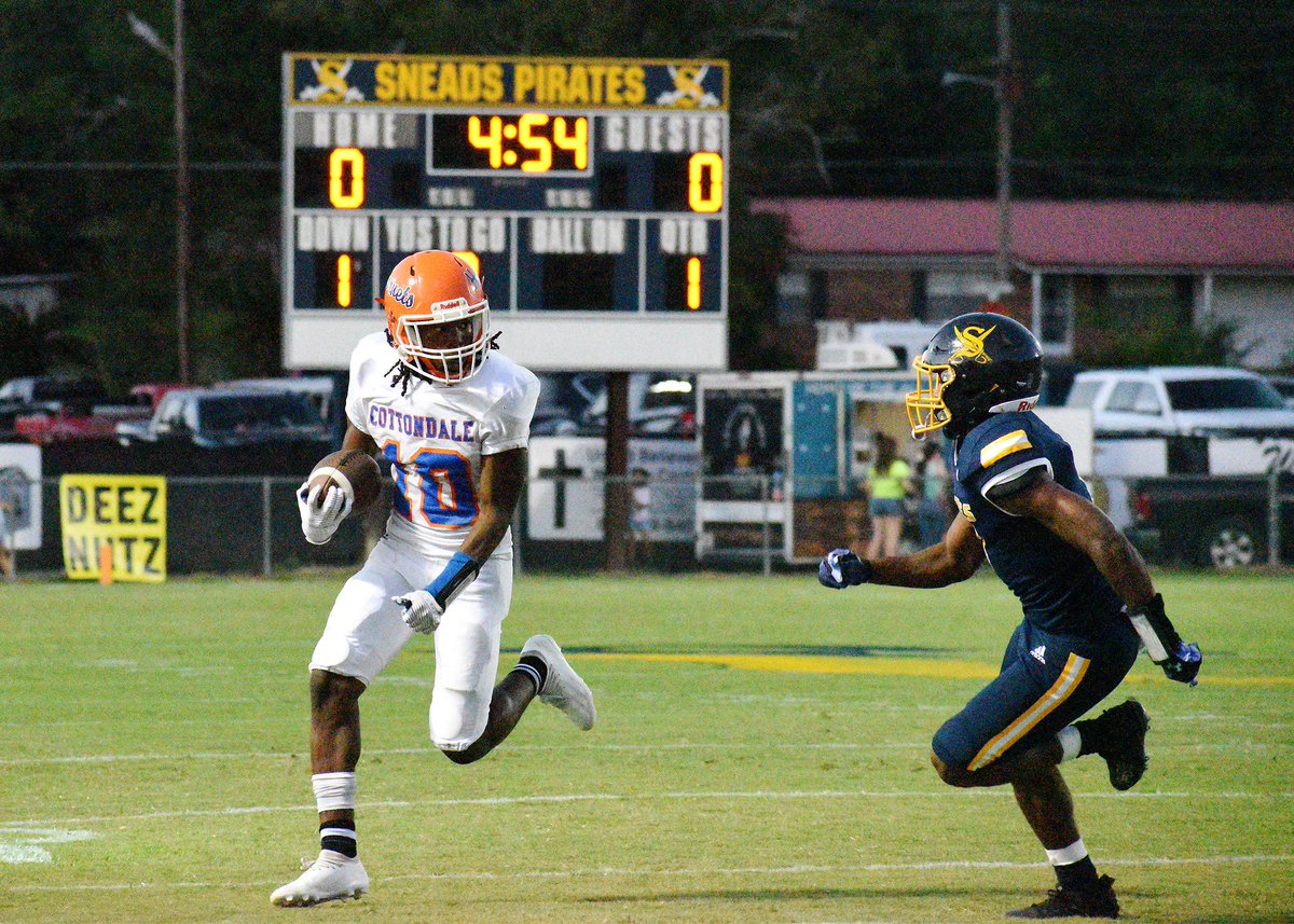 JuneBug'z Garden tweet media