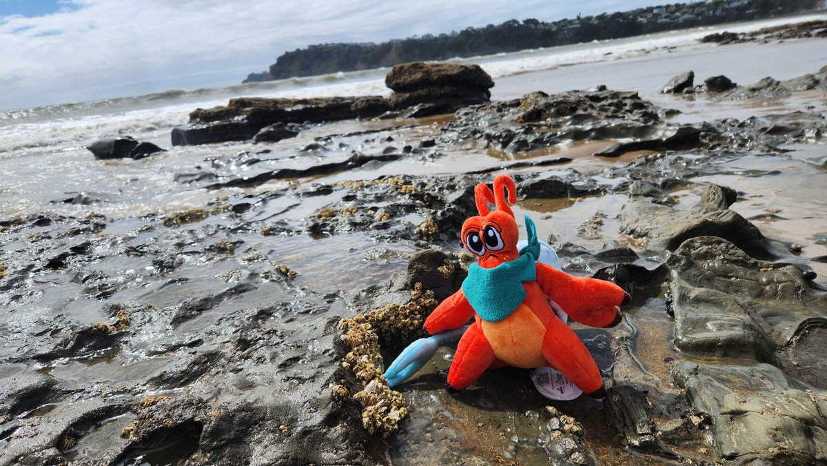 AggroCrabGames's tweet image. ‼️THE KRIL PLUSH IS BACK‼️

Our beloved trash wearer and tax evader is back in stock NOW along with a refresh of aggro crab merch

THIS TIME - we're donating proceeds for the next TWO WEEKS to @sustaincoasts to help clean up coastlines and educate others on pollution cleanup 🌊