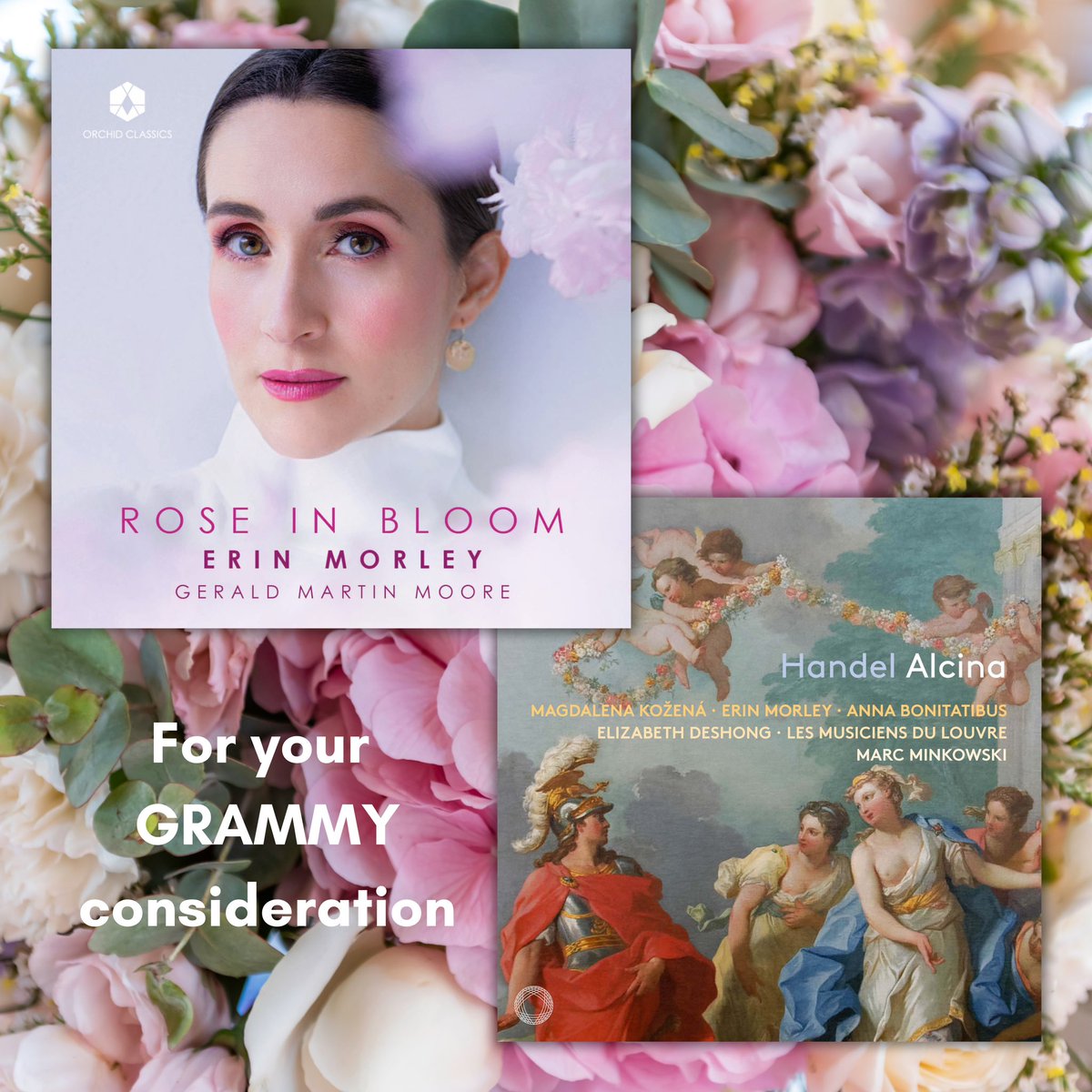 morley_erin's tweet photo. TODAY is the last day for GRAMMYs® first-round voting! We’d be honored to have your votes! 🌹 @OrchidClassics #RoseinBloom @PENTATONEmusic #Alcina https://t.co/W1Bmxl0fC0