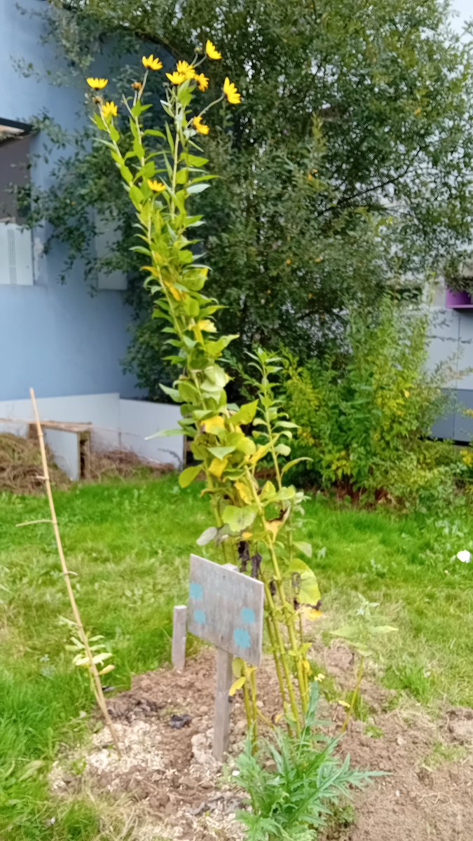 CollegeGDN tweet media