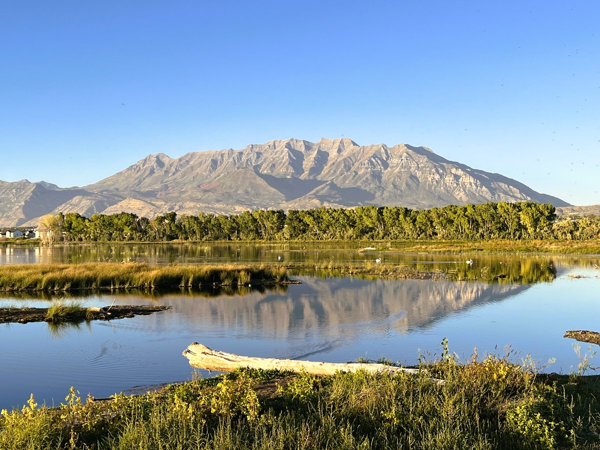 The newly restored Provo River delta is opening to the public later this month! 🎉 Don’t miss the free event on Saturday, Oct. 26 where you can learn more about the restored delta habitat and celebrate its grand opening. See event details: bit.ly/4h8loPu