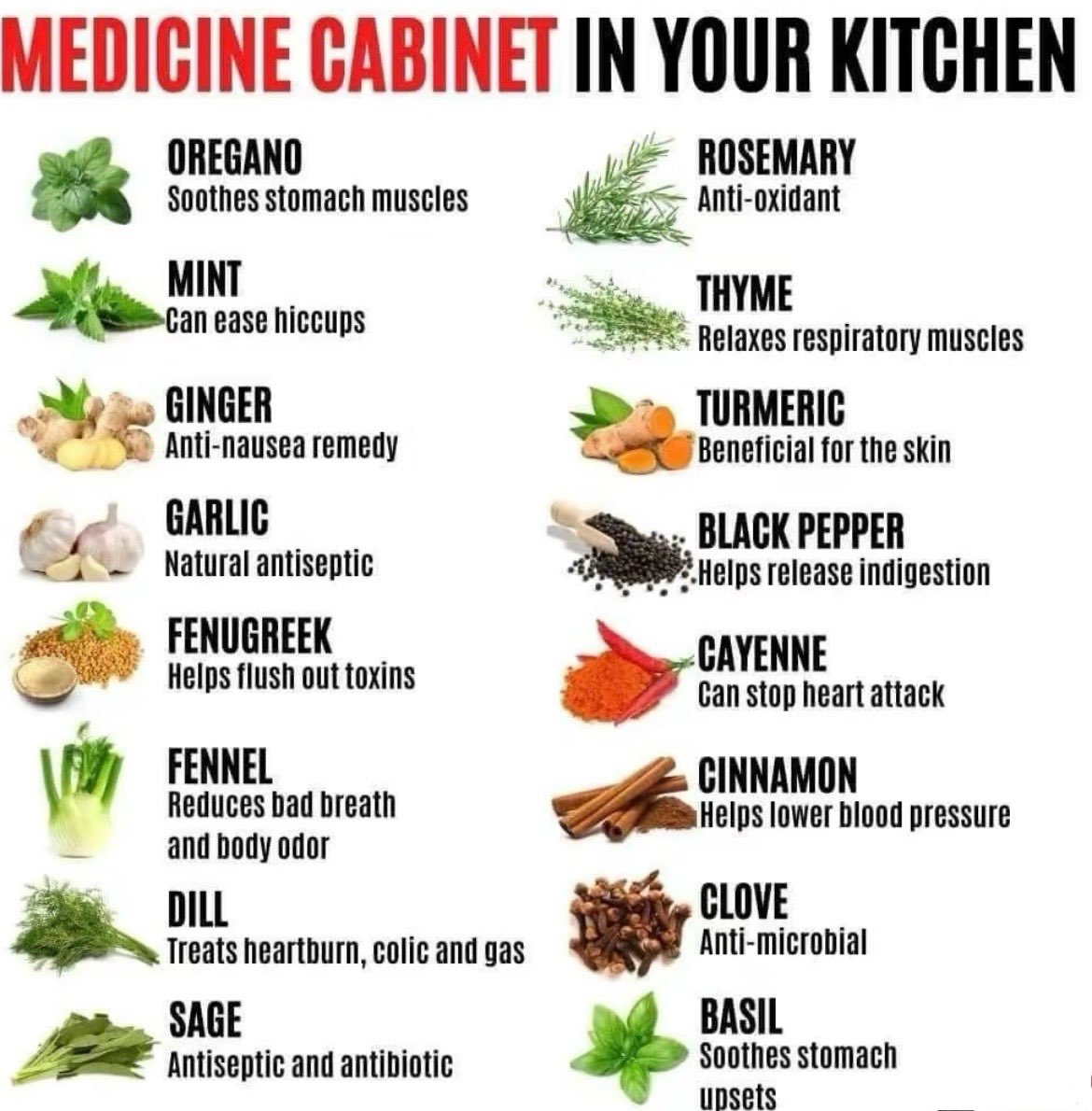 FredsFarm247's tweet photo. Medicine cabinet in your kitchen👇🏽 https://t.co/fiGCrc9Esg