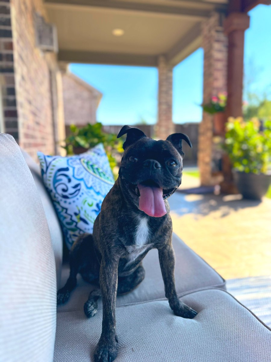 Natevidad Casas tweet media