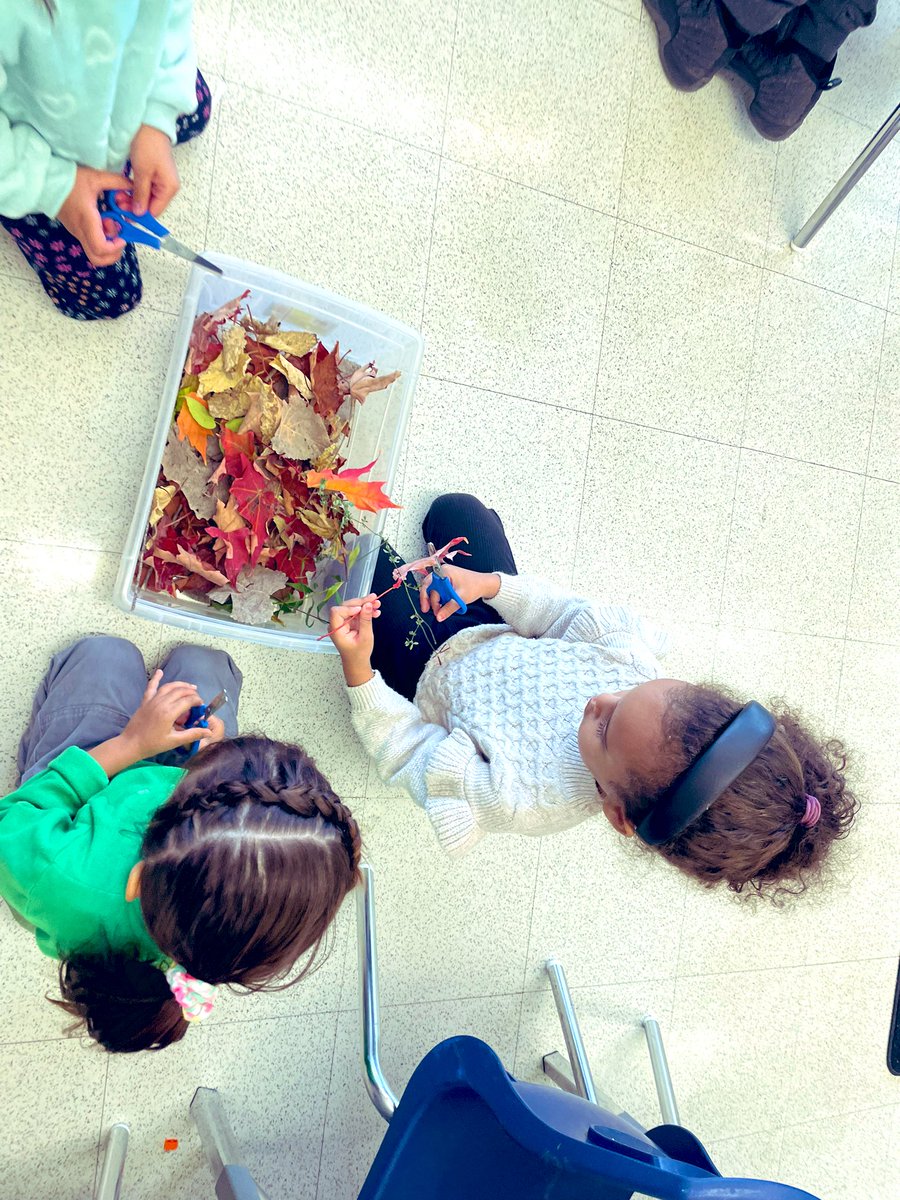 Angelique Campbell (@creativekindie) on Twitter photo Enjoying all things #Autumn 🍂 today! We did a Fall Scavenger Hunt, collected leaves 🍁, used them to do leaf rubbings & used our extra leaves to practise our fine motor skills like cutting ✂️ #kindergarten #tdsb #FMELA <a href="/EarlyYearsTDSB/">TDSB Early Years</a> Enjoying all things #Autumn 🍂 today! We did a Fall Scavenger Hunt, collected leaves 🍁, used them to do leaf rubbings & used our extra leaves to practise our fine motor skills like cutting ✂️ #kindergarten #tdsb #FMELA <a href="/EarlyYearsTDSB/">TDSB Early Years</a>
