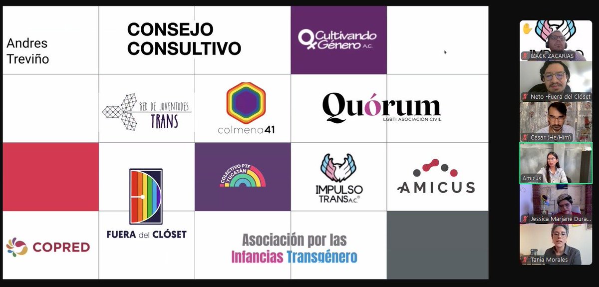 FueraCloset_AC's tweet photo. Participamos en la Primera Sesión Ordinaria del Consejo Consultivo de Litigio Estratégico #LGBTIQ+ de @amicusdh con el objetivo de fortalecer la labor conjunta a favor de los #DDHH de la población #LGBTTTIQ+. 🏳️‍🌈🏳️‍⚧️✊🏼 (2) https://t.co/FW7l5VSeno