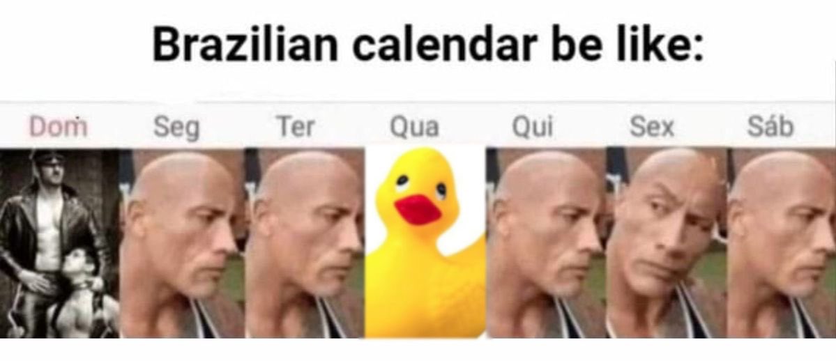 shitpostverdade's tweet image. 