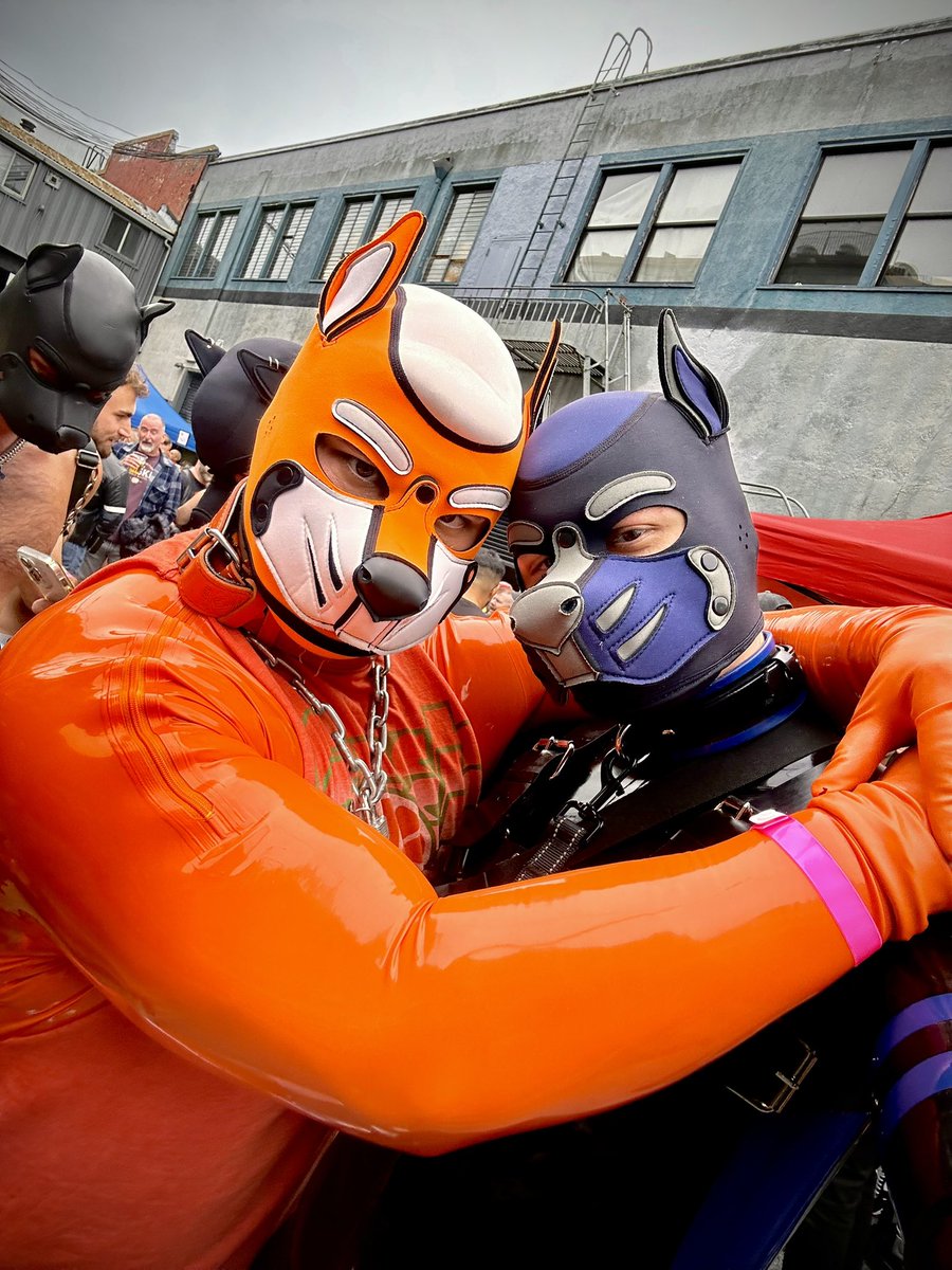 Dogs of dore🐾😋

<a href="/PupWoodie/">¡WOODIE!</a> <a href="/pup_kodak/">Pup Kodak 🔜 MRW</a> <a href="/Sikarets/">Sika</a> <a href="/CanineConCarne/">CanineConCarne</a>