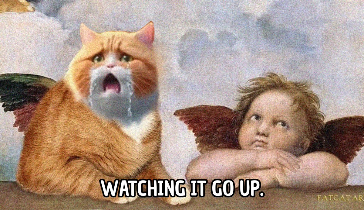 MeowMeowCTO's tweet photo. Feeling Meowish

#MEOWMEOW https://t.co/KixHepVeVh