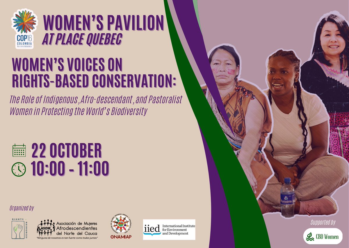 Will you be at #COP16 next week? Join us in the Blue Zone for a panel discussion on the role of Indigenous, Afro-descendant, and pastoralist women in protecting biodiversity on October 22! #LandRightsNow #RuralWomen

Check out all of RRI's side events 👇🏽
rightsandresources.org/event/rri-enga…