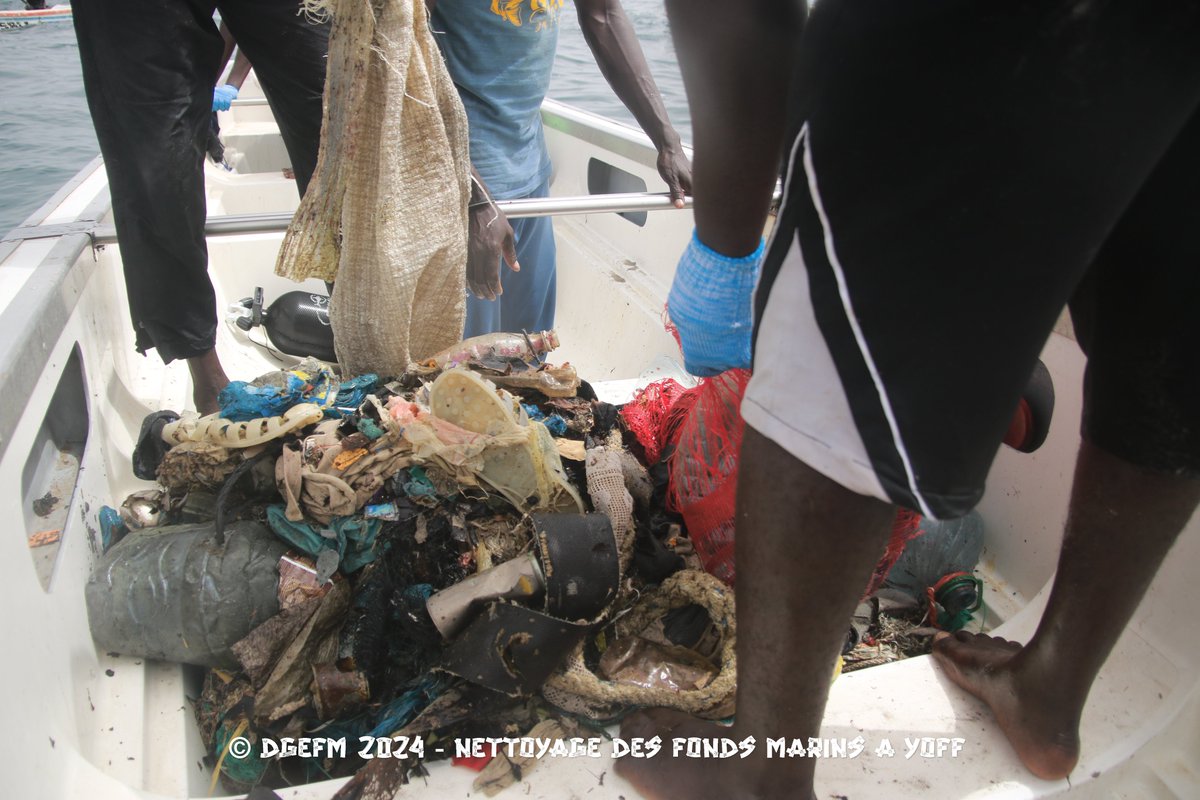 dgefm0's tweet photo. 1e Journée de Nettoyage des Fonds Marins à Yoff : Quelques illustrations des activités de nettoyage et de triage des déchets. https://t.co/4TlZFCdDxF