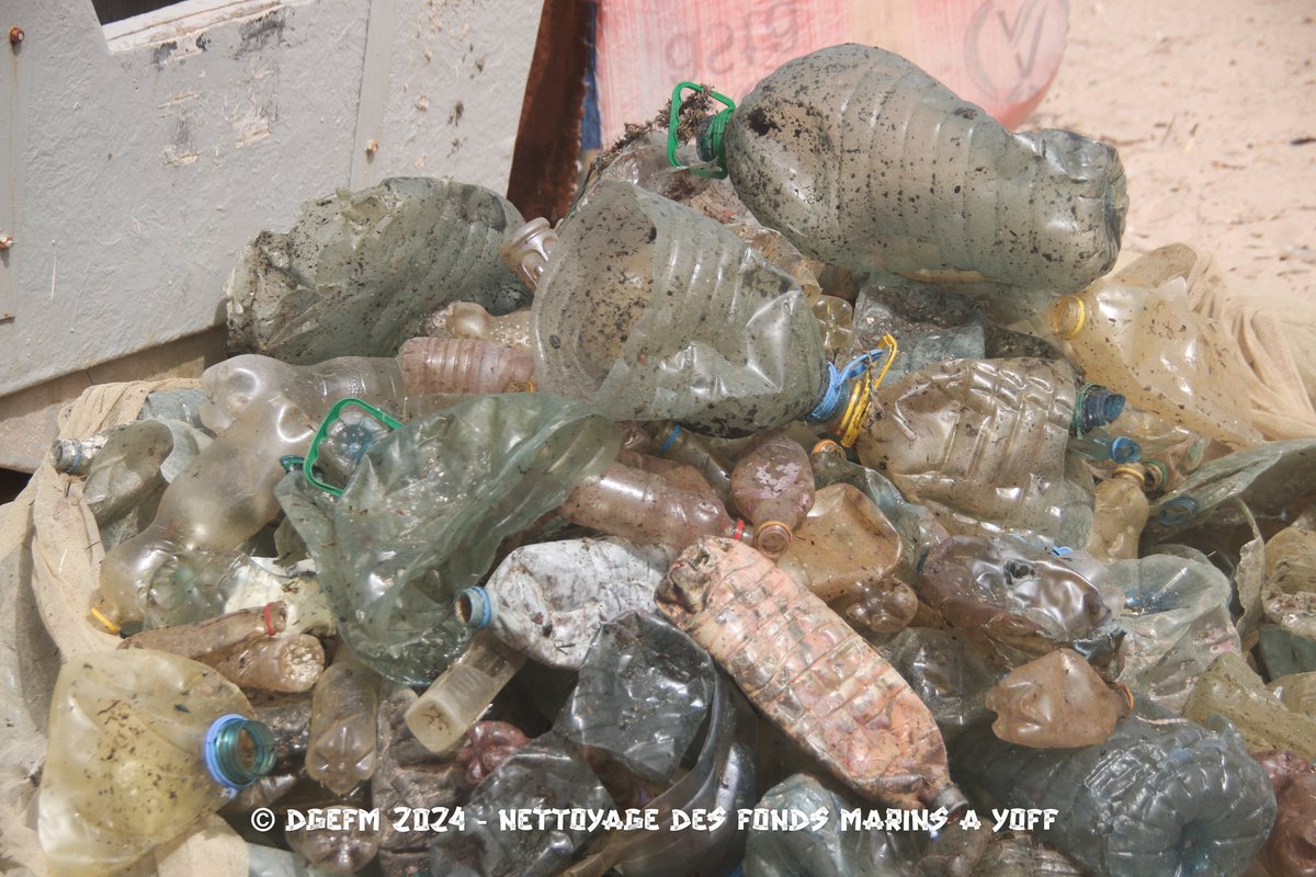 dgefm0's tweet photo. 1e Journée de Nettoyage des Fonds Marins à Yoff : Quelques illustrations des activités de nettoyage et de triage des déchets. https://t.co/4TlZFCdDxF