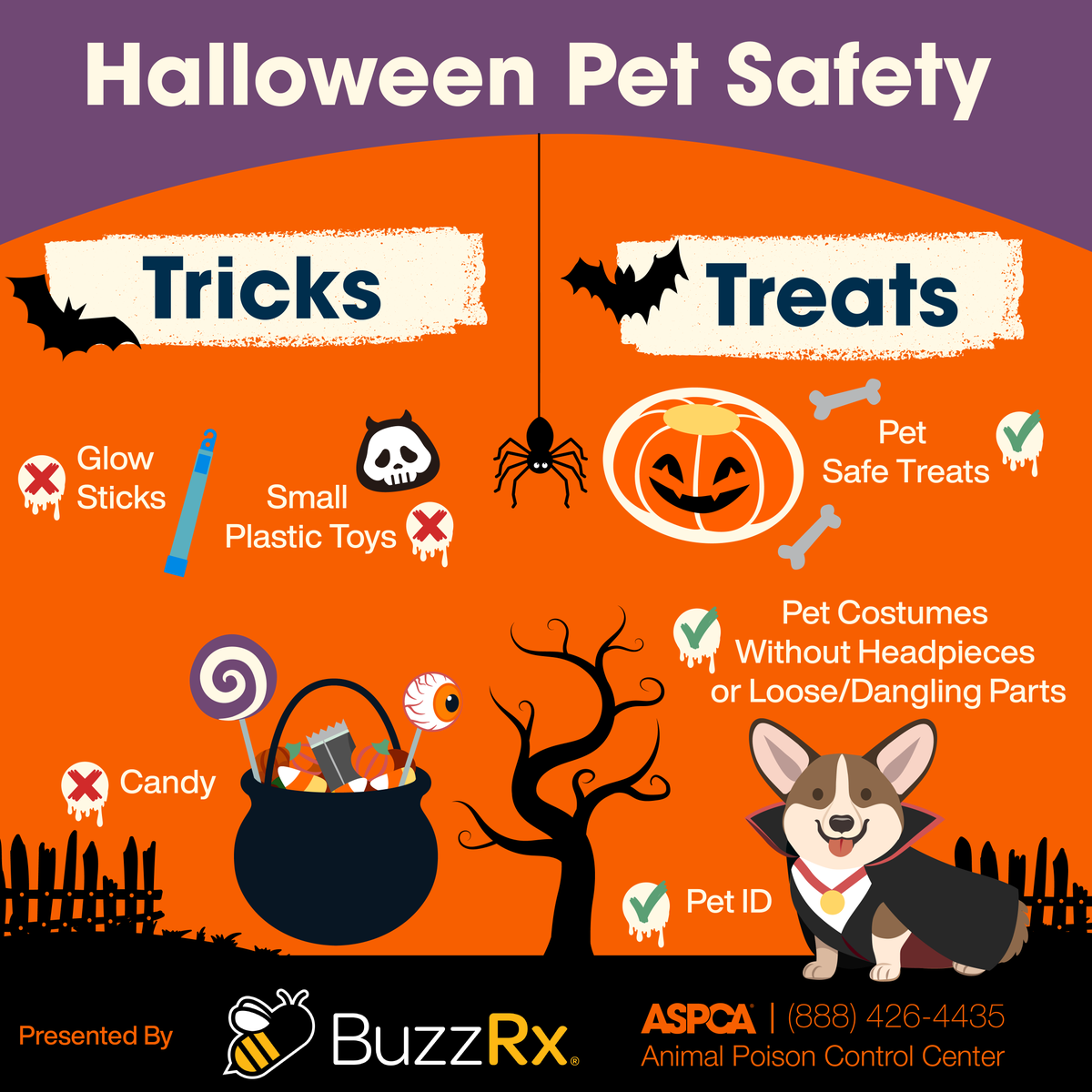 ASPCA's tweet photo. HOWL-oween is near &amp; adoptable pup, Ursula, is here to help keep your pets safe! Use this graphic to avoid emergency vet visits. Always remember to watch pets around decor &amp; if their costume is as cute as Ursula's you won't want to look away!👻 Graphic presented by @buzzrxcard https://t.co/z7vN88PtTv