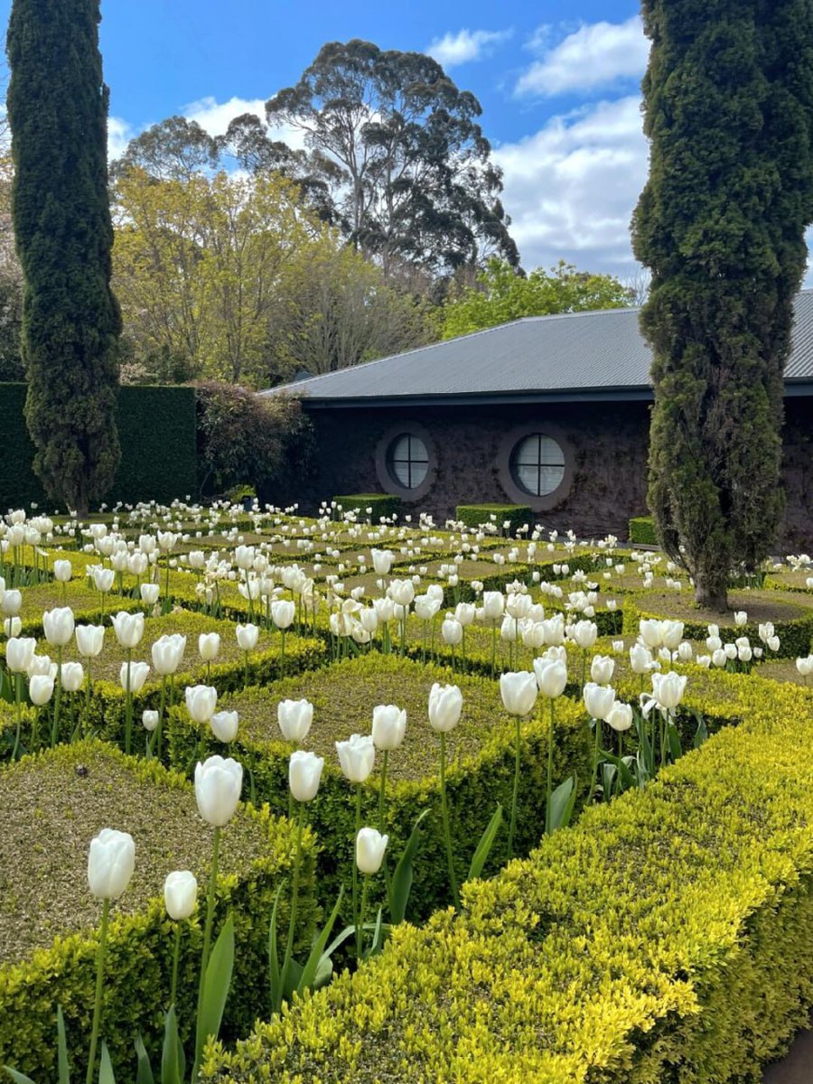 LivingColor__'s tweet image. Hello 😍