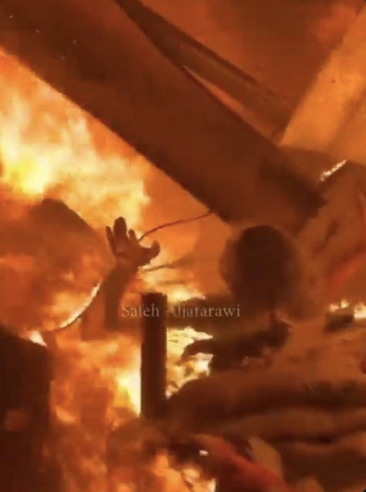 AI BS Detector tweet media