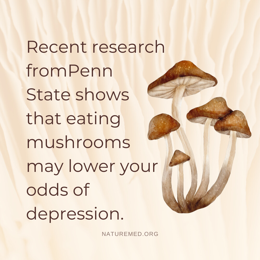 Happy National Mushroom Day!

Feeling down? The solution might be growing right beneath your feet.🍄🌱

For more on the incredible mental health benefits of mushrooms, visit naturemed.org/ingredient-of-…