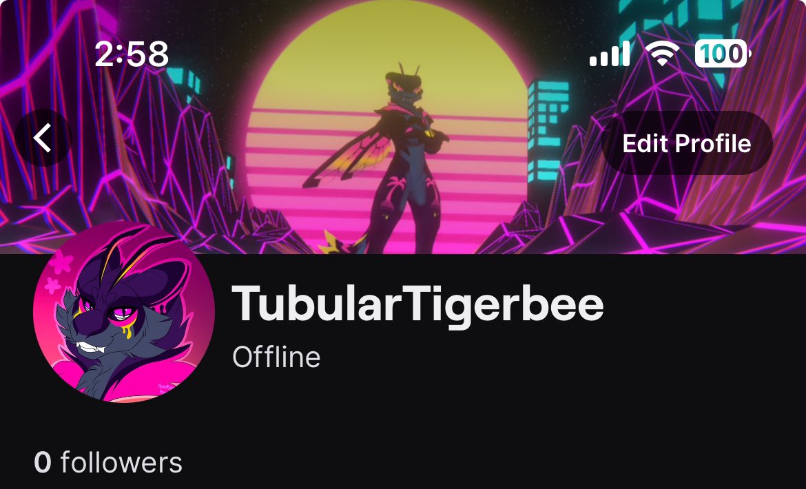 TubularTigerbee's tweet image. Twitch channel is officially open! I’m going live for the first time tomorrow at 1pm EST, where I’ll be streaming the new game, #FragPunk ! Hope to see you guys there!