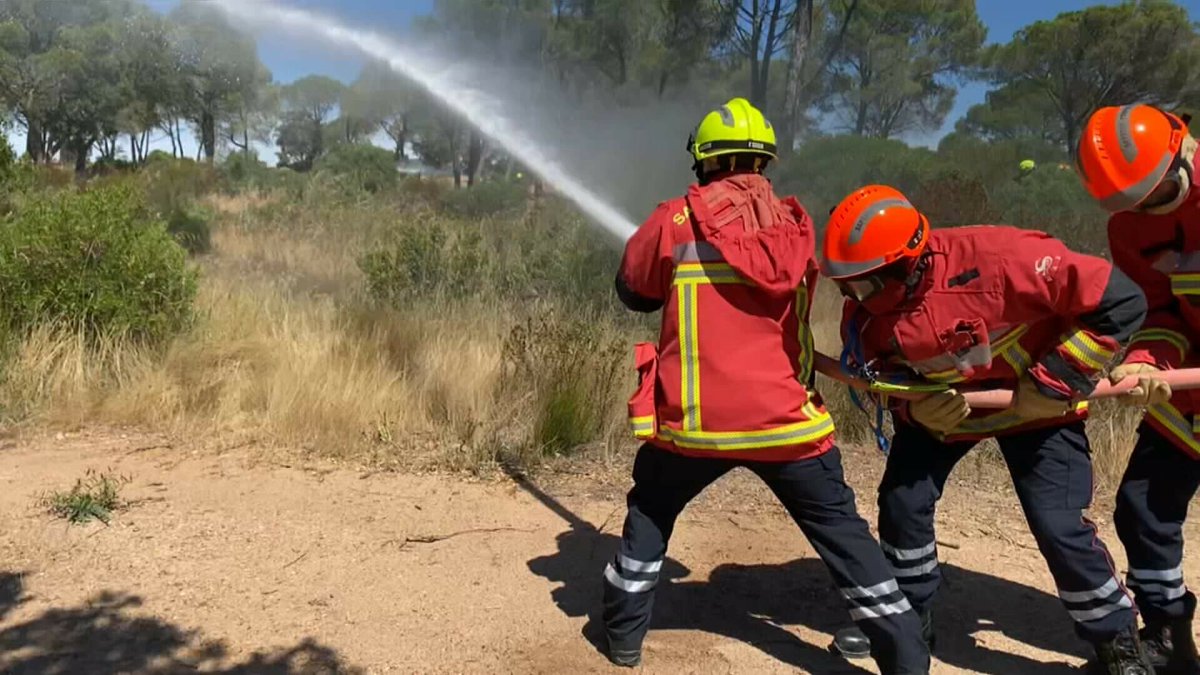Feux de forêt: le gouvernement lance une campagne pour rappeler l'obligation de débroussailler
l.bfmtv.com/UXiq