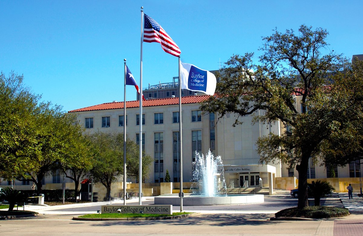 Texas Developmental Center for AIDS Research (@texasdcfar) on Twitter photo We have an #ID #HIV job opening <a href="/bcmhouston/">BCMHouston</a>.
Learn more.
healthecareers.com/idsa/job/infec…
<a href="/HIVMA/">HIV Medicine Association</a> <a href="/IDSAInfo/">IDSA</a> #IDSA #IDWeek2024 <a href="/PrathitKulkarni/">Prathit Kulkarni, MD</a> <a href="/EvaClarkMD/">Eva Clark</a> <a href="/UTHealthSPH/">UTHealth Houston School of Public Health</a> <a href="/RitiSharan/">Riti Sharan</a> We have an #ID #HIV job opening <a href="/bcmhouston/">BCMHouston</a>.
Learn more.
healthecareers.com/idsa/job/infec…
<a href="/HIVMA/">HIV Medicine Association</a> <a href="/IDSAInfo/">IDSA</a> #IDSA #IDWeek2024 <a href="/PrathitKulkarni/">Prathit Kulkarni, MD</a> <a href="/EvaClarkMD/">Eva Clark</a> <a href="/UTHealthSPH/">UTHealth Houston School of Public Health</a> <a href="/RitiSharan/">Riti Sharan</a>
