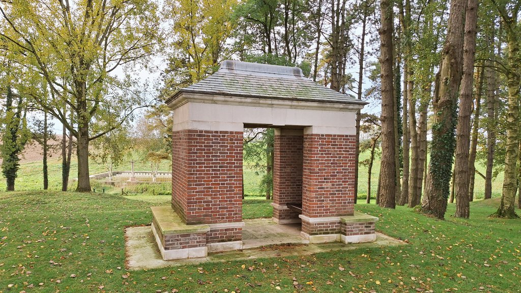 History Department tweet media