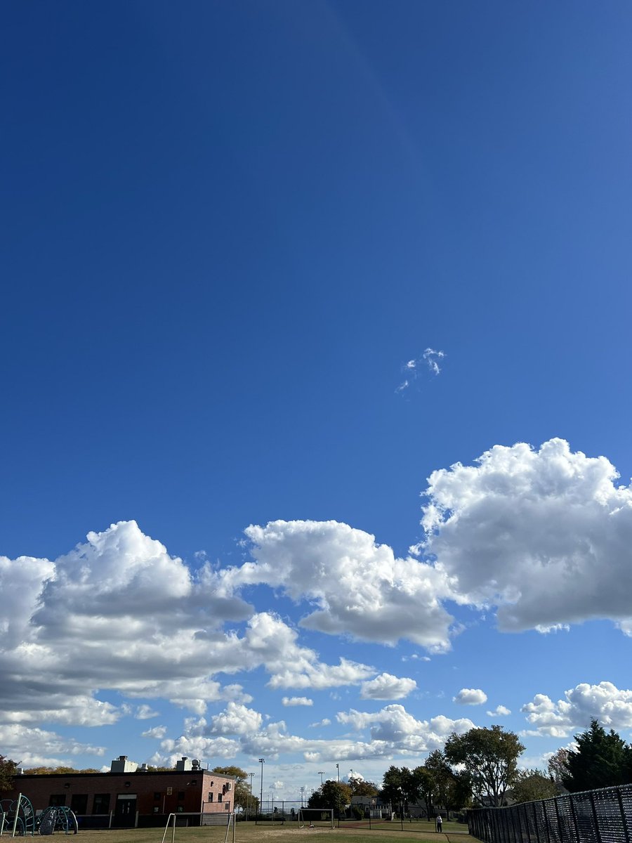 MsRedaelli tweet media