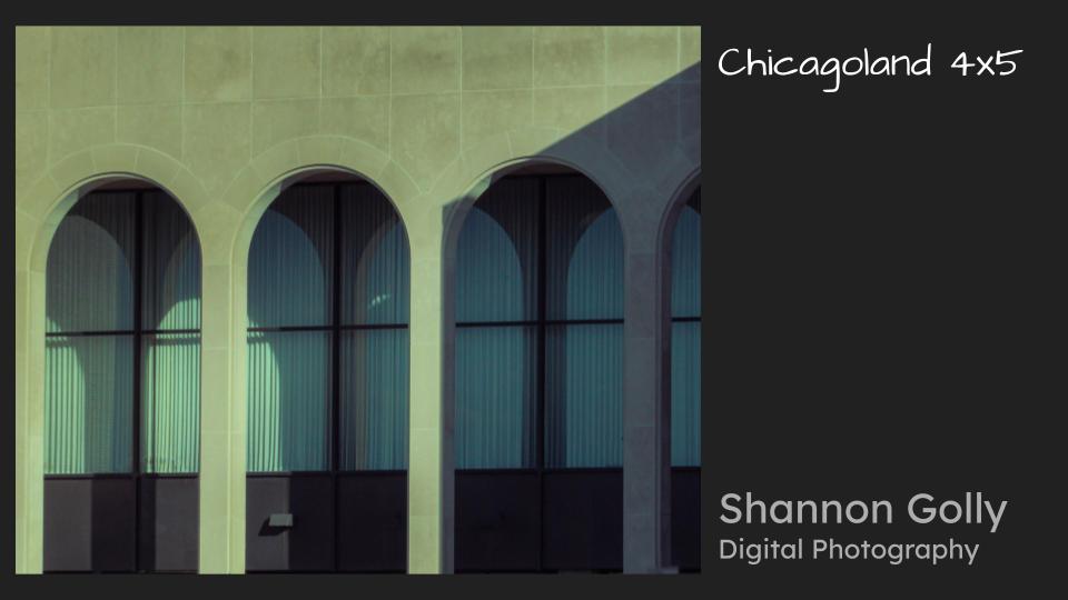 art_scn's tweet photo. Congrats to the 29 students who will represent SCN at the Chicagoland 4x5 Art Show this year! 
Here are some of our selected works: https://t.co/AniogJ4PSC