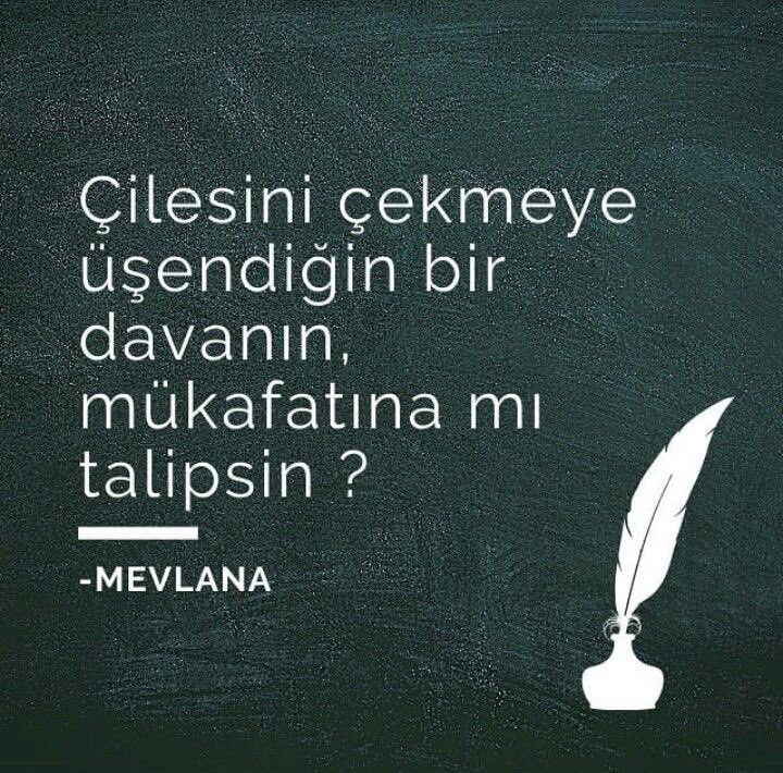 Monna Rosa (@ayaserenat) on Twitter photo 