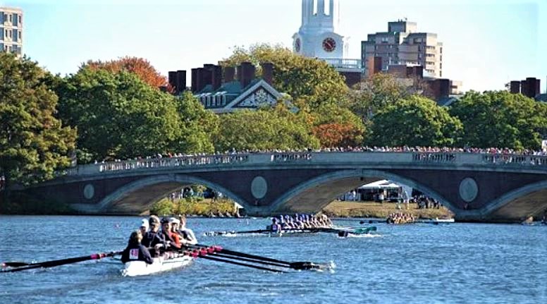 Boston Central tweet media