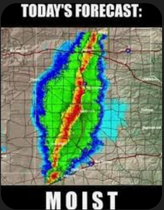 Dillis_Memes's tweet image. Good morning ☕️ #patriots 🇦🇺🇬🇧🇺🇸 i know someone doesn't like the word #moist #lmfao #memes  #WeatherModification