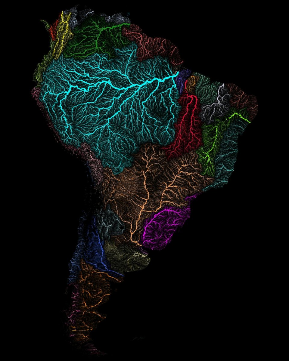 Imagine a land so diverse, so vibrant, it's like stepping into a realm of magic...

South America isn't just a continent; it's Earth's Heartbeat 🧵

1. Magnificent visualization of South America's river basins