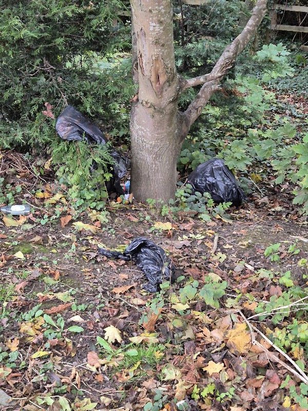 BBullrushes's tweet image. Afternoon walk &amp;amp; filled a small bag along the way. Found the largest #vape we have found so far &amp;amp; another #flytip for tomorrow's job list 🤨 #lovewhereyoulive #ButtercupLeys #NotABin @KeepBritainTidy @LitterReporting