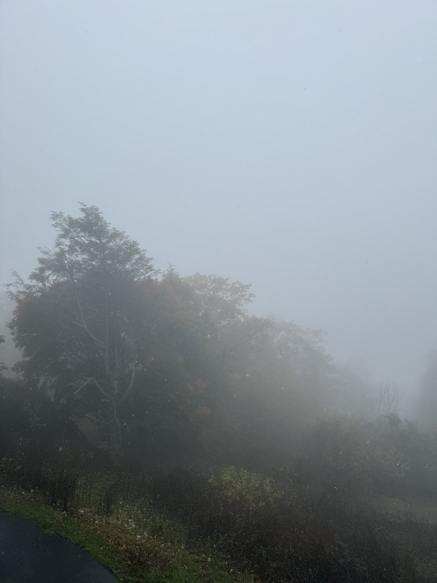 novanaturalist's tweet photo. Snow/sleet on Skyline Drive this morning! Then the fog rolled in…leaves are really popping. https://t.co/tOcFv00Z6g