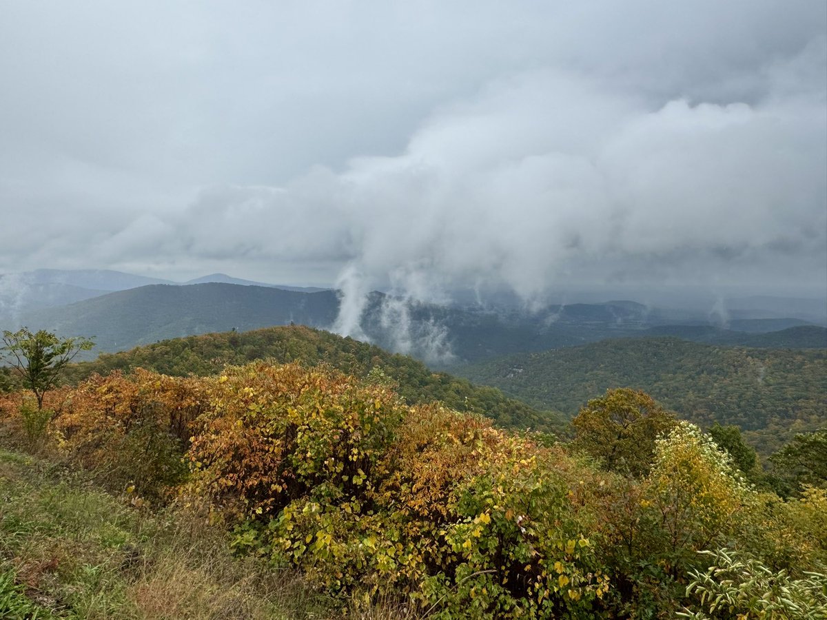 novanaturalist's tweet photo. Snow/sleet on Skyline Drive this morning! Then the fog rolled in…leaves are really popping. https://t.co/tOcFv00Z6g