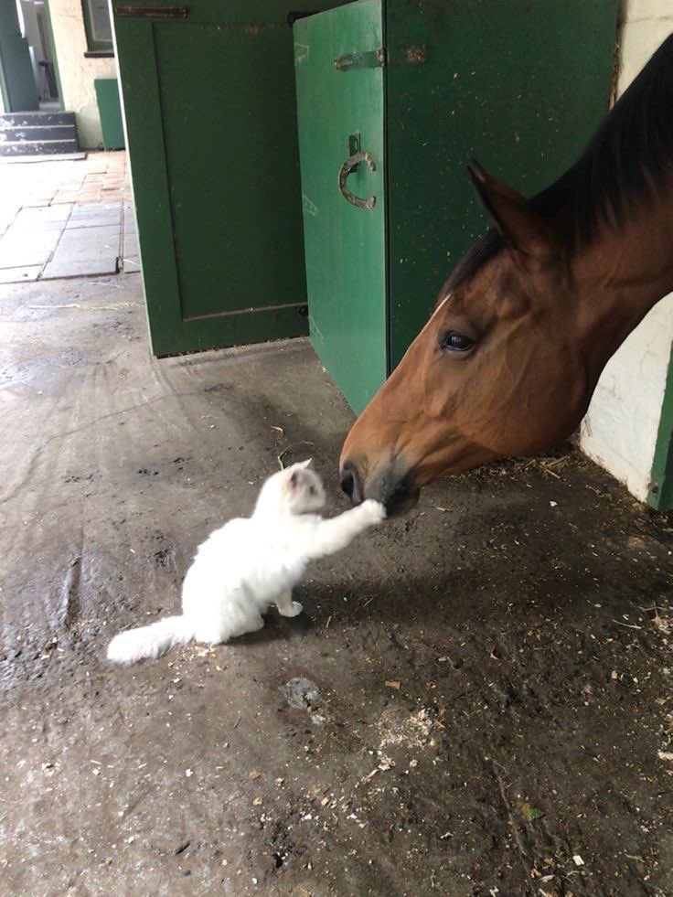 بحر 🌊 (@butterflless) on Twitter photo 