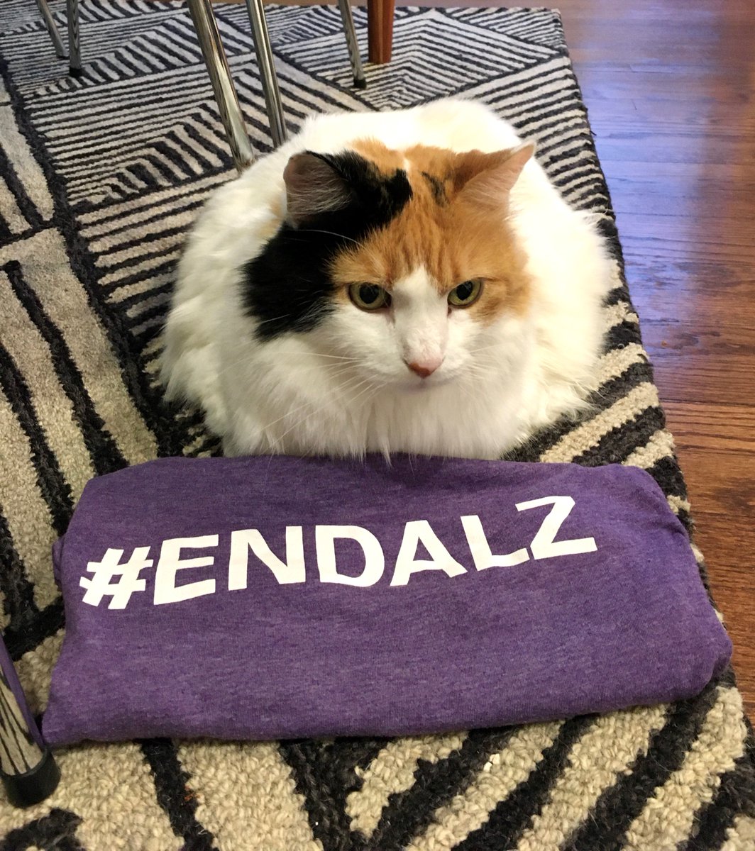 Happy #NationalCatDay to all our feline friends who are helping us raise awareness in the fight to #ENDALZ! 😸🐾💜