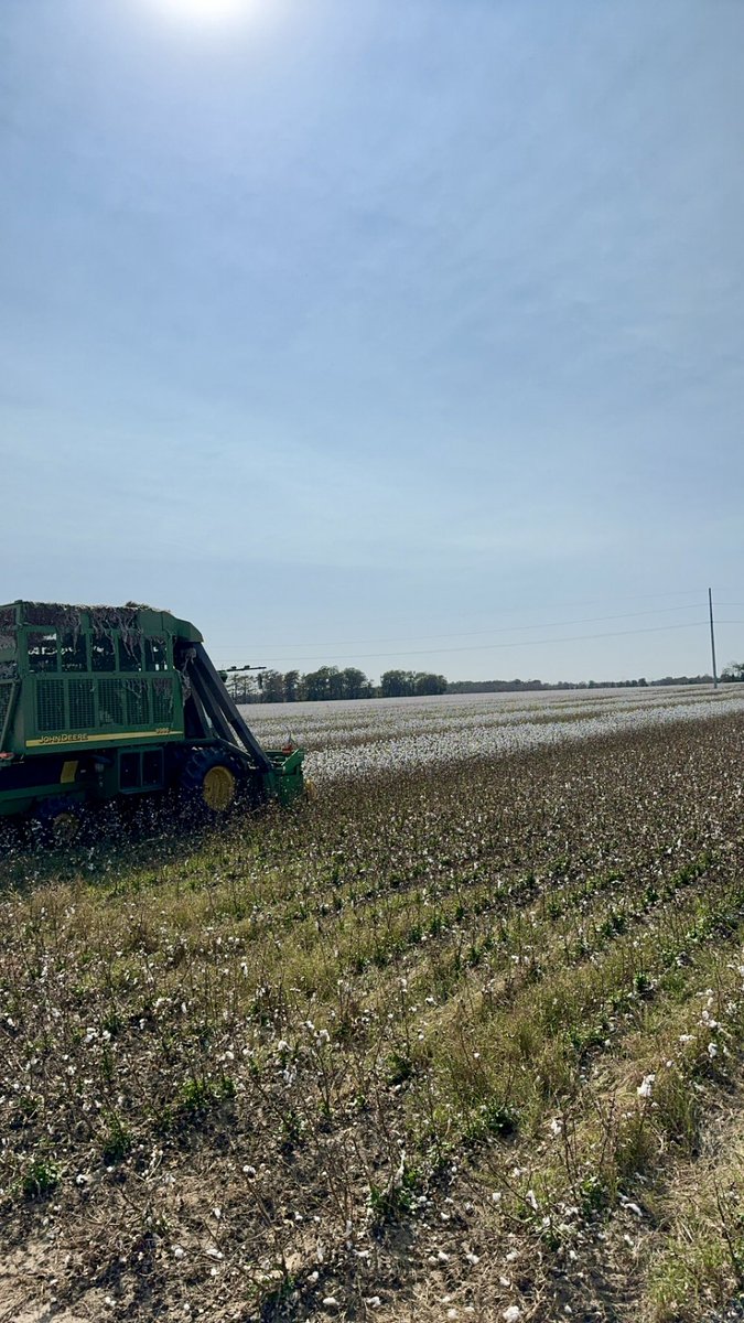 Slowly but surely knocking out this <a href="/PhytoGenCotton/">PhytoGen Cottonseed</a> 411