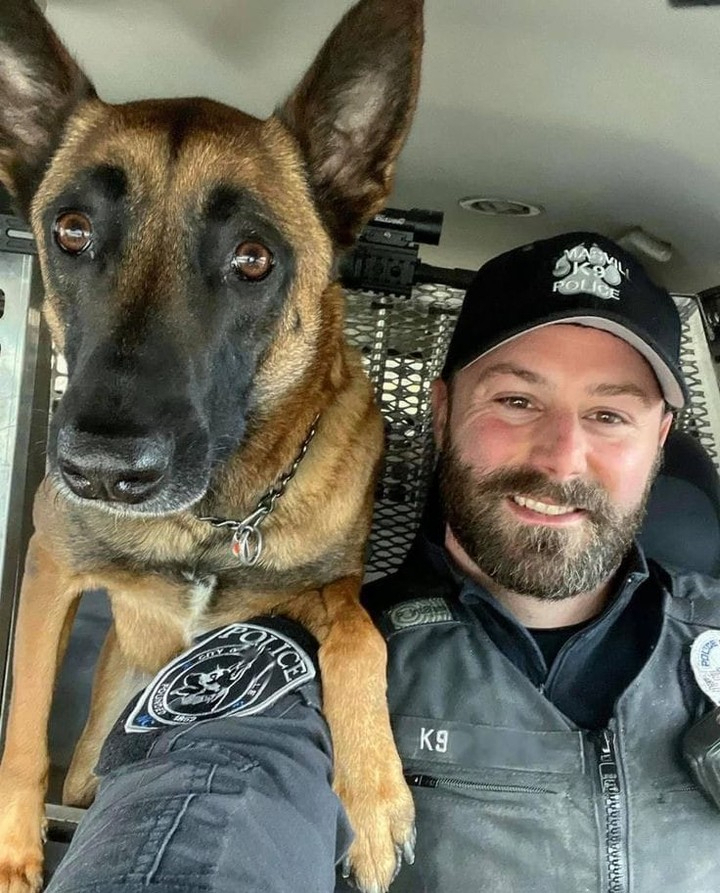 _XDogs's tweet image. I am a military dog🐕. I think people love me♥️ , but so far, nobody has like me